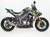 Kawasaki Ninja 1000 (2011+) Z1000 (2014+)